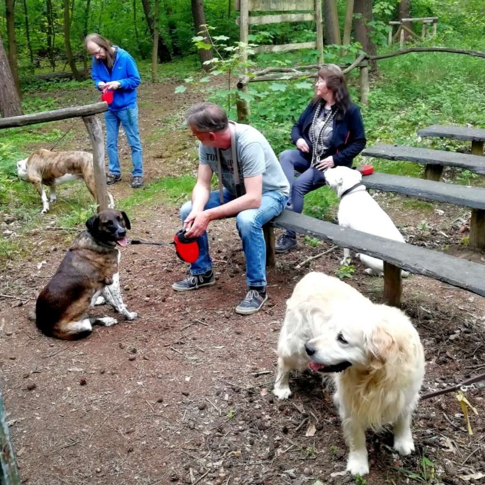 Hundetreffen-Mit den Bördepfoten unterwegs-Profilbild