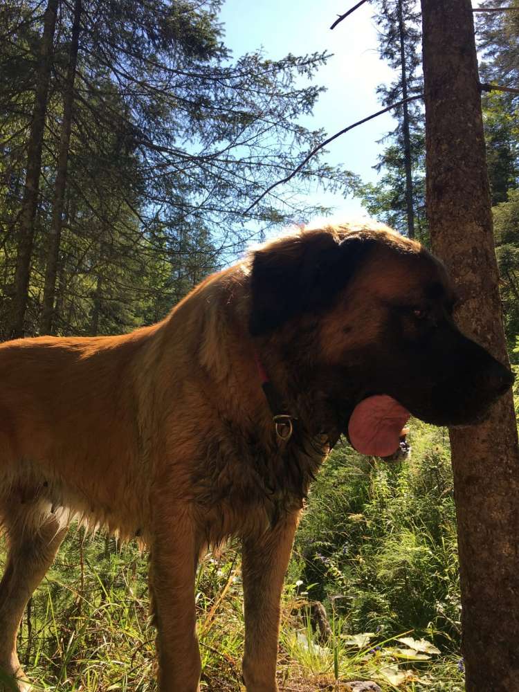 Suchmeldung-Mila-Profilbild