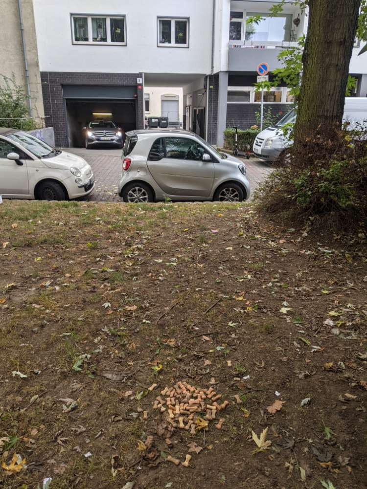 Giftköder-Ausgelegte Leckerli-Profilbild