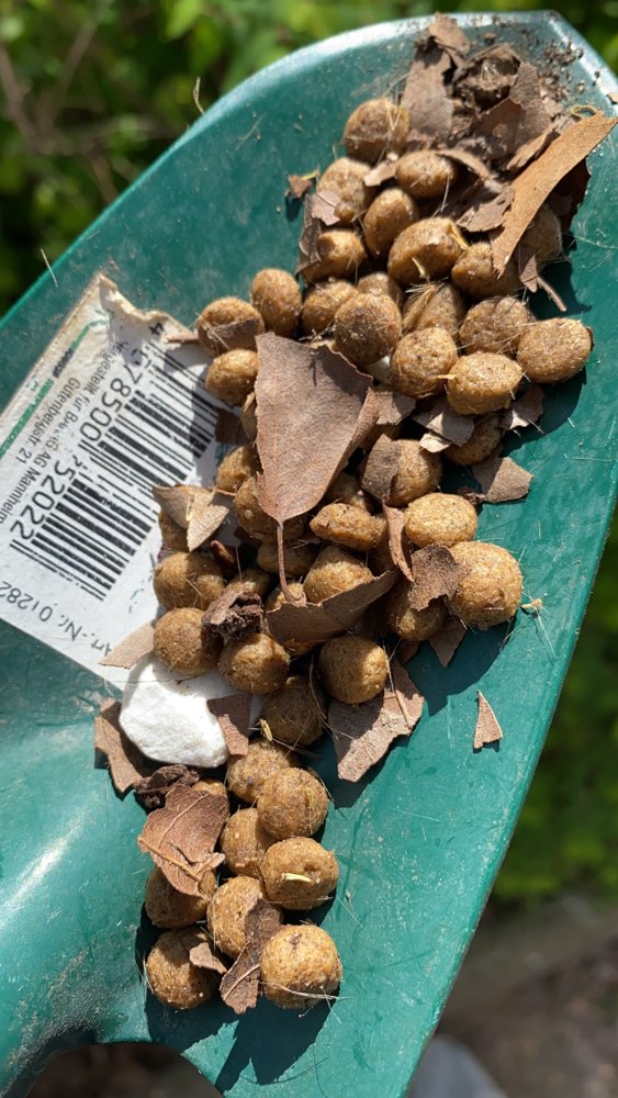 Giftköder-Giftköder-Profilbild