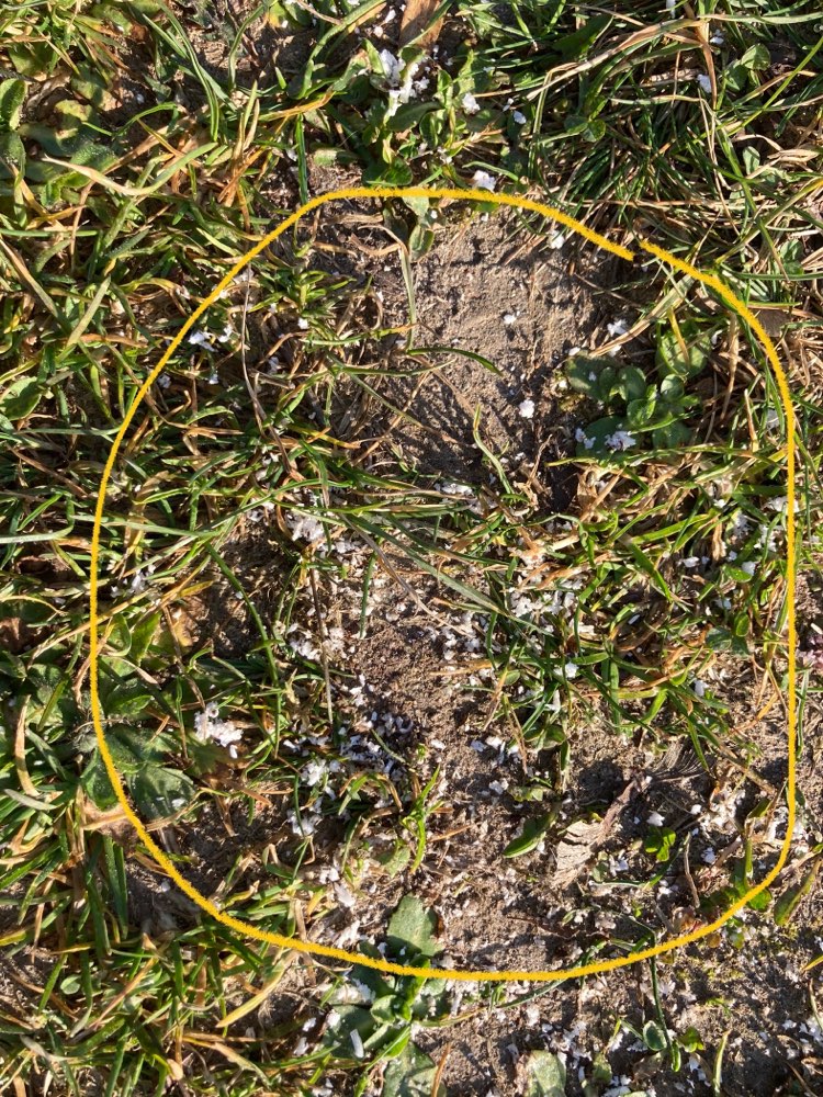 Giftköder-Unbekannte, weiße Substanz, geraspelt-Profilbild