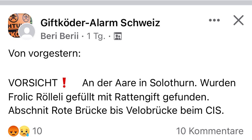 Giftköder-Giftköder entdeckt an der Aare-Profilbild