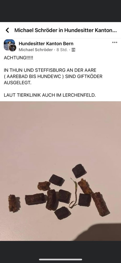 Giftköder-Giftköder!-Profilbild
