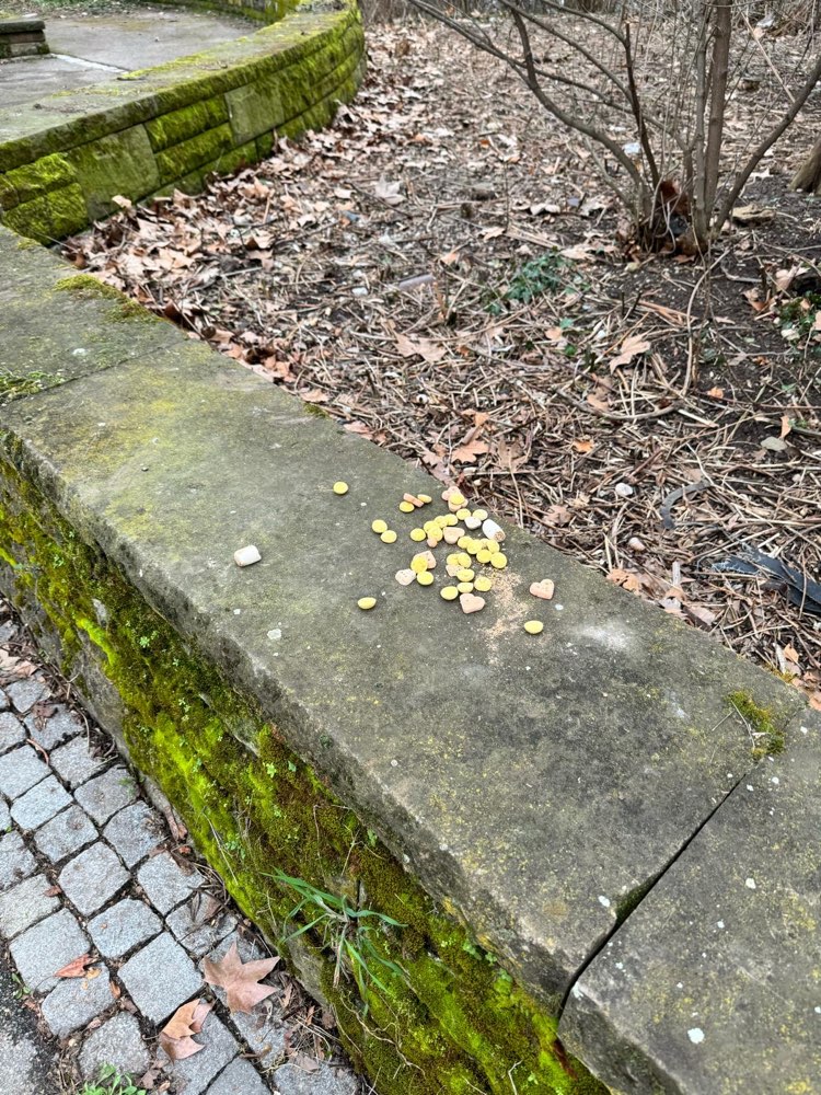 Giftköder-Große Menge Leckerlies auf Mauer-Profilbild