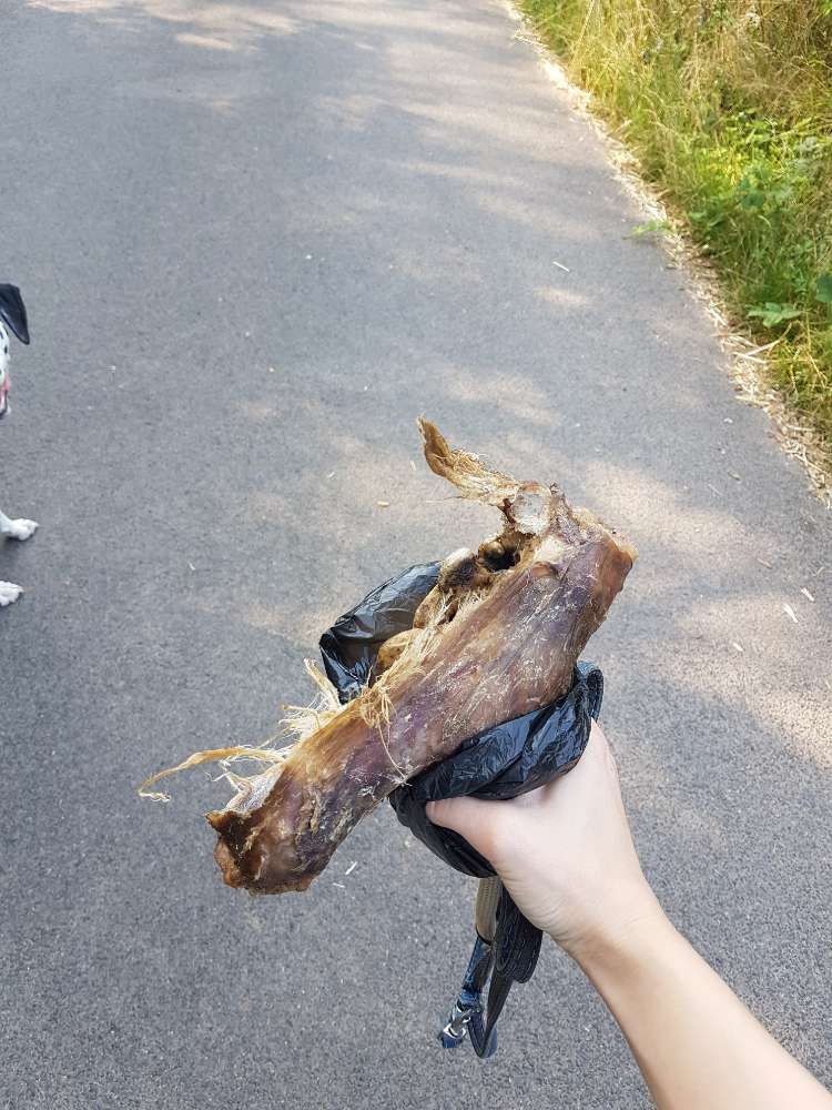 Giftköder-Großer Knochen-Profilbild