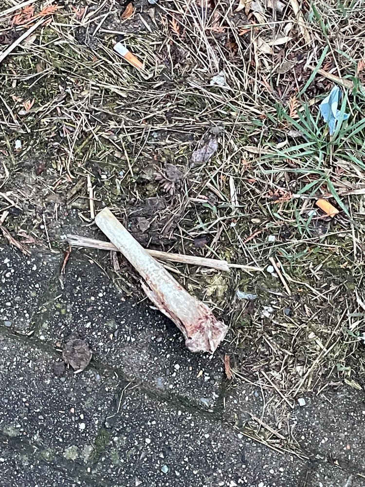 Giftköder-Knochen am Weg-Profilbild