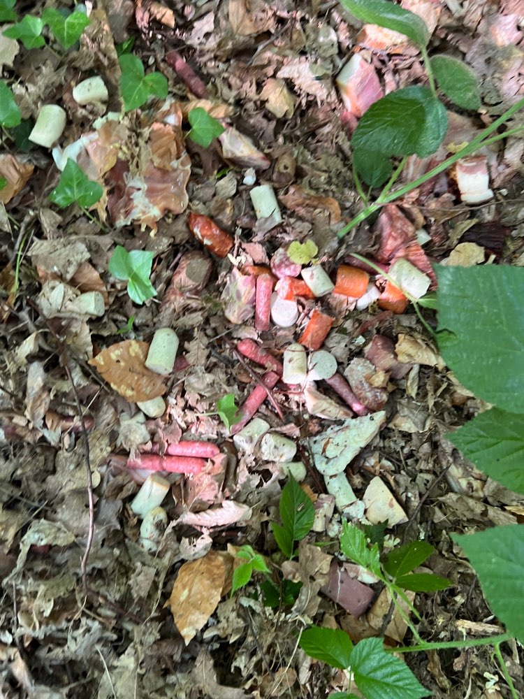 Giftköder-Ausgelegte Wurst - vermutlich Giftköder-Profilbild