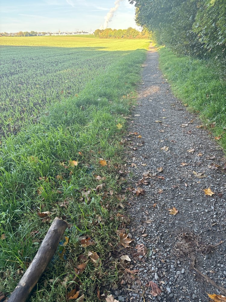Giftköder-Vermutlich wieder Rattengift-Profilbild