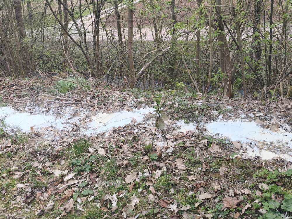 Giftköder-Komisches Weisses Pulver-Profilbild