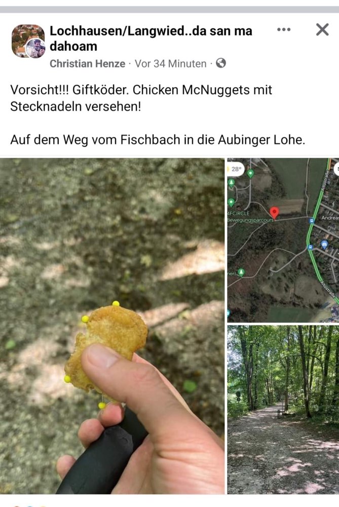 Giftköder-Giftköder-Profilbild