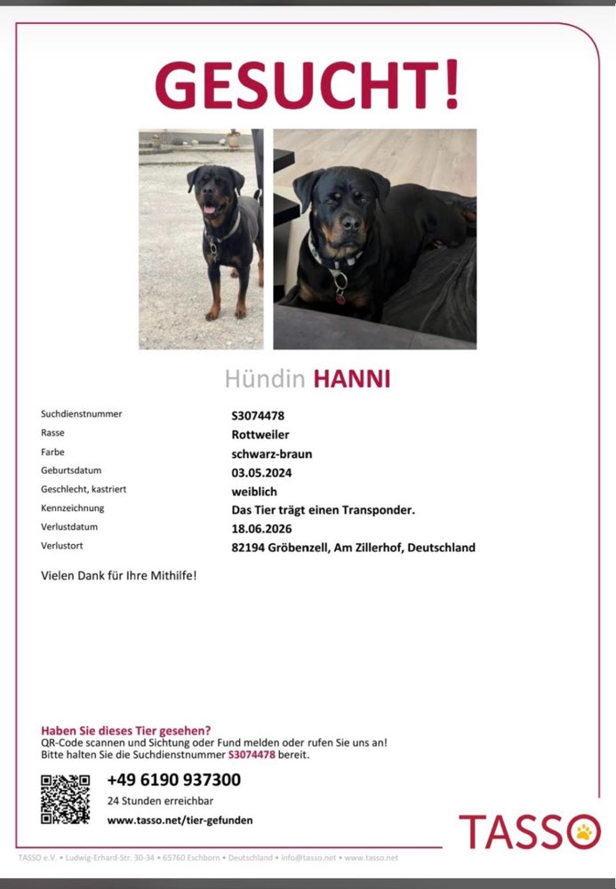 Suchmeldung-Hanni-Profilbild