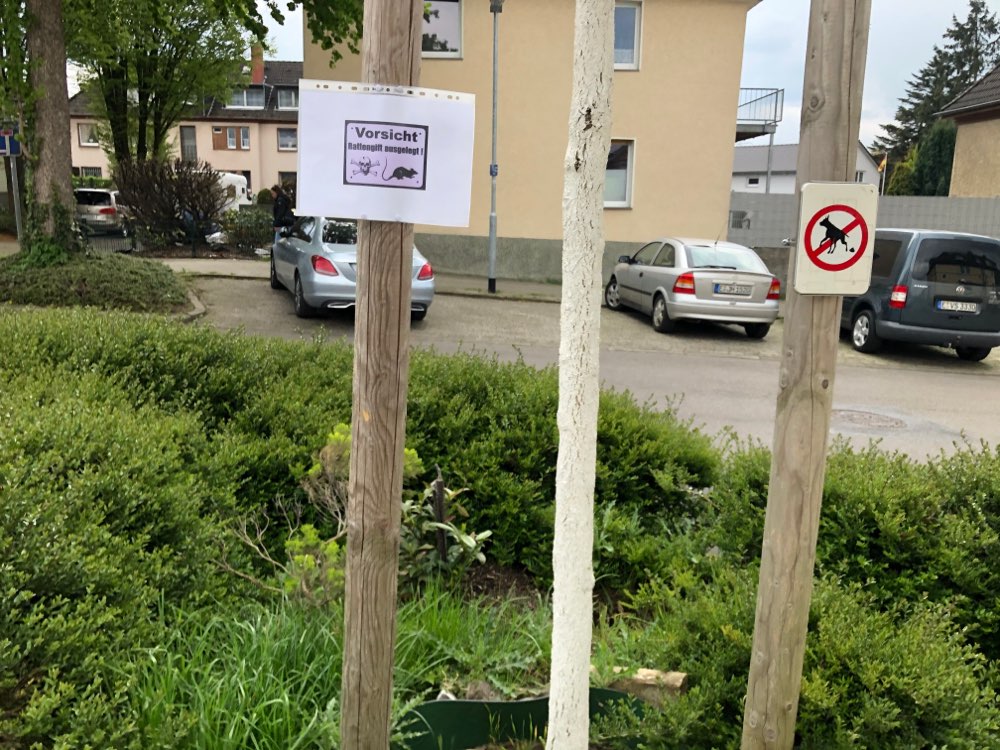 Giftköder-Rattengift ausgelegt-Profilbild