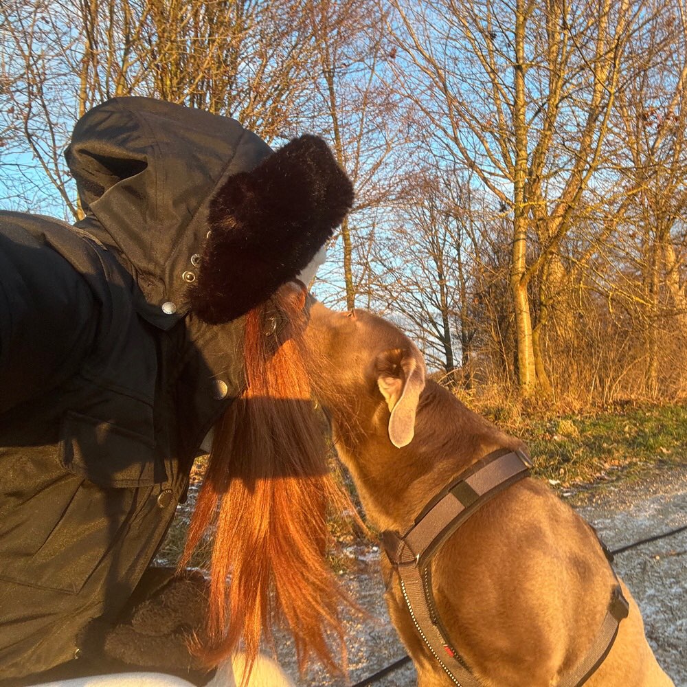 Hundetreffen-Training Hundebegegnungen Raum Euskirchen-Profilbild