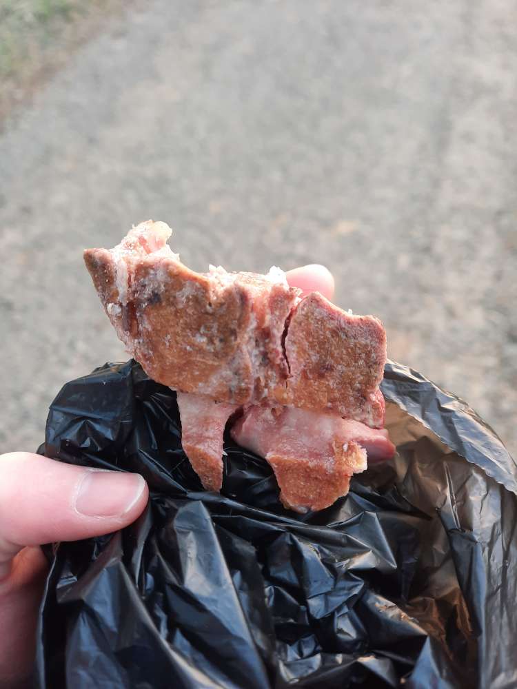 Giftköder-Eventuell Giftköder-Profilbild