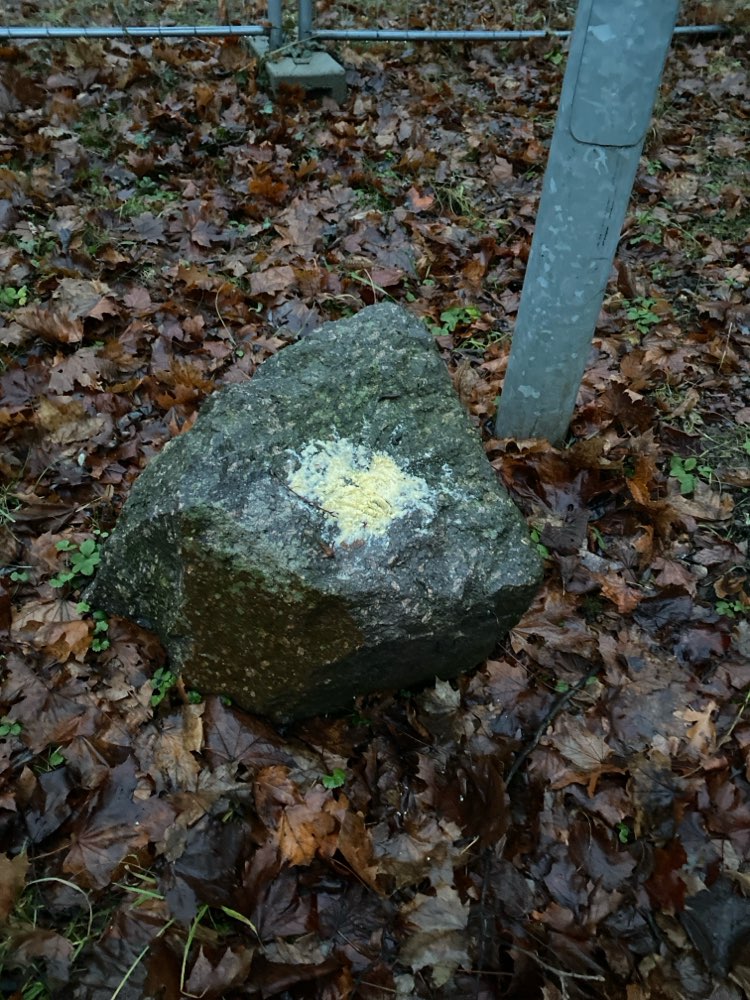 Giftköder-Giftköder ?-Profilbild