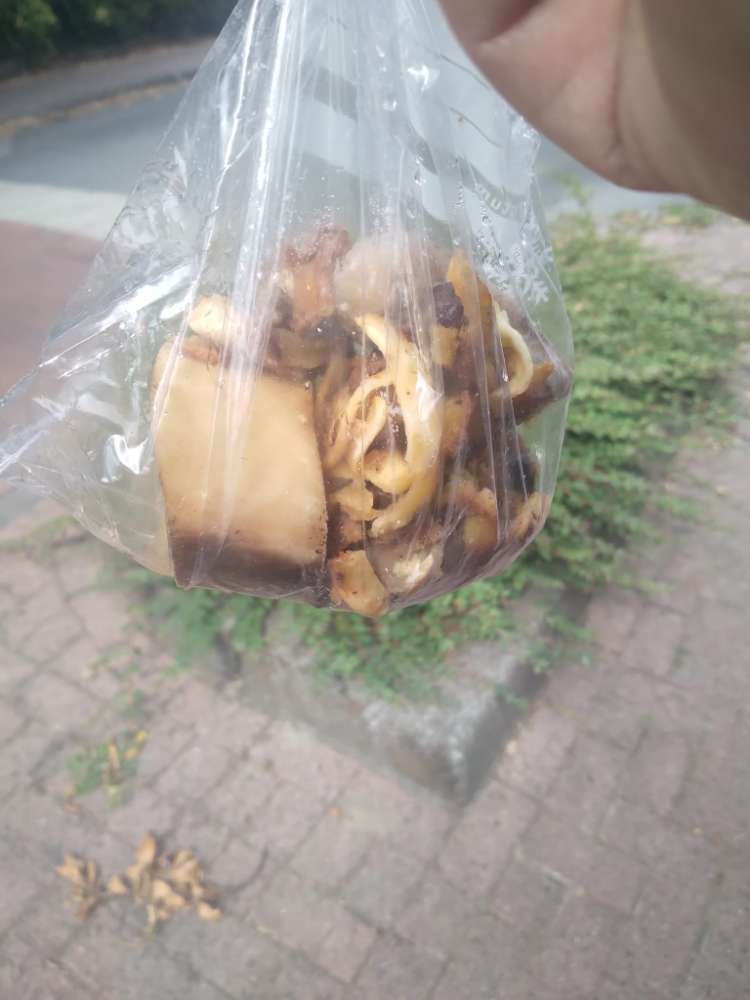 Giftköder-Tüte mit Fleisch / Knochen-Profilbild