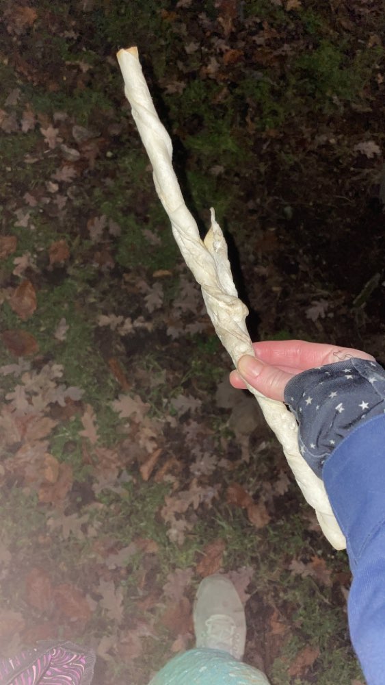 Giftköder-Kaustange mit orangenen Enden-Profilbild