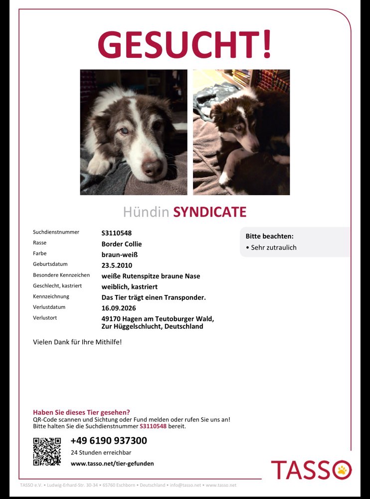 Suchmeldung-Syndicate-Profilbild