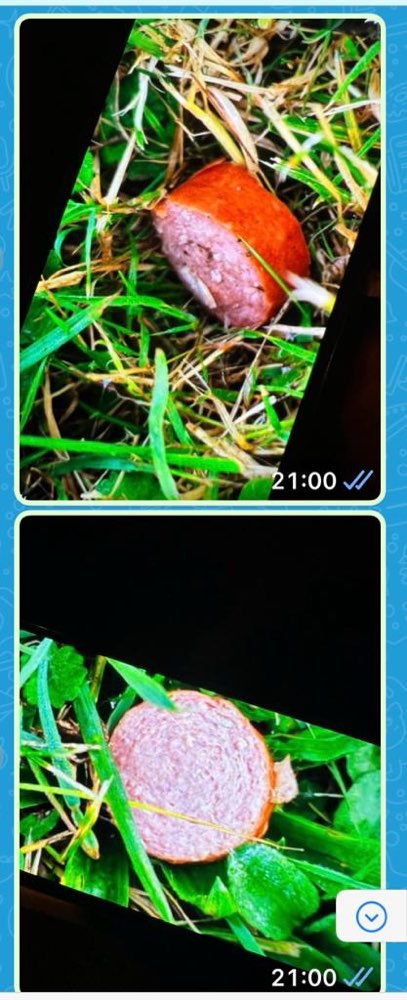 Giftköder-Linz am Rhein - Wurststücke-Profilbild