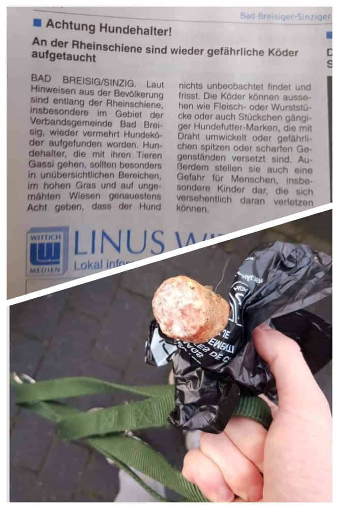 Giftköder-Vermutlich Giftköder-Profilbild