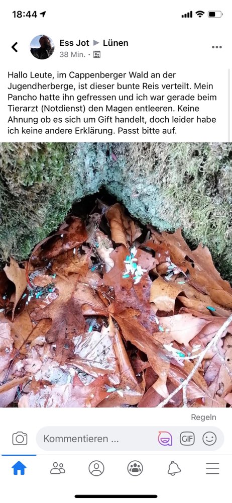 Giftköder-Gift!?-Profilbild