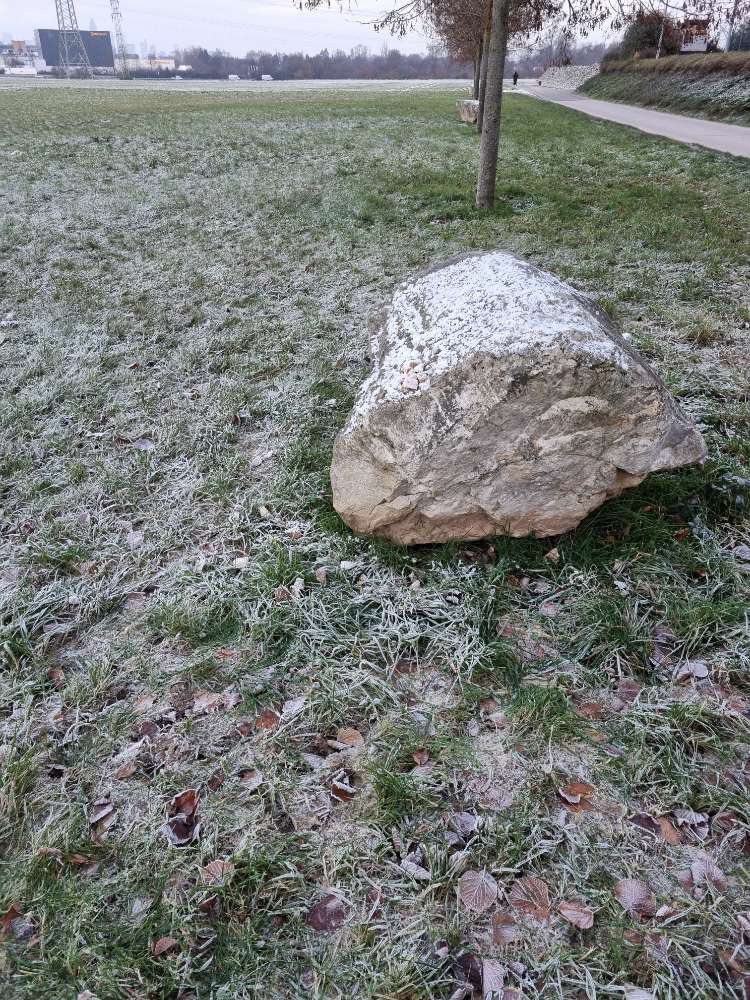 Giftköder-Futter ausgelegt-Profilbild