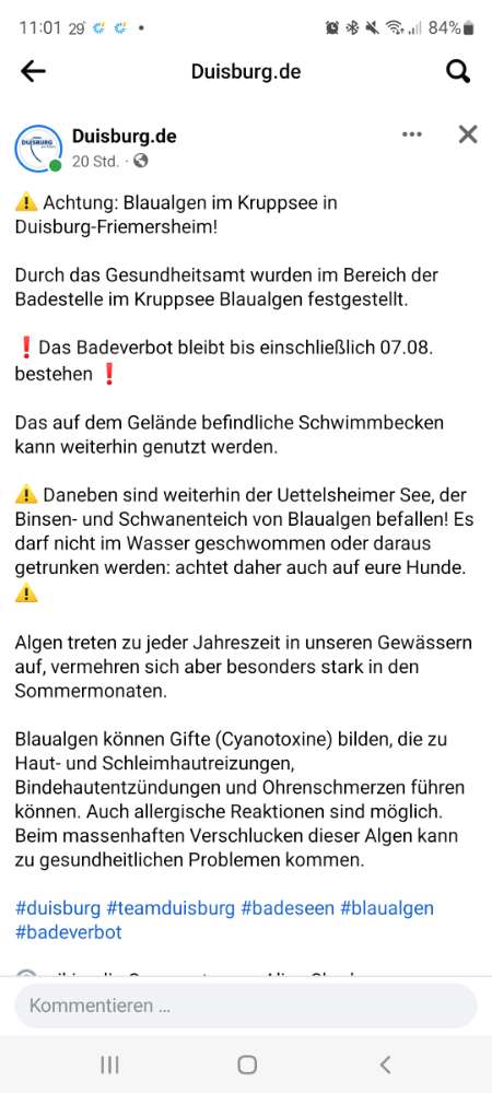 Giftköder-Blaualgen, Friemersheim Kruppsee-Profilbild