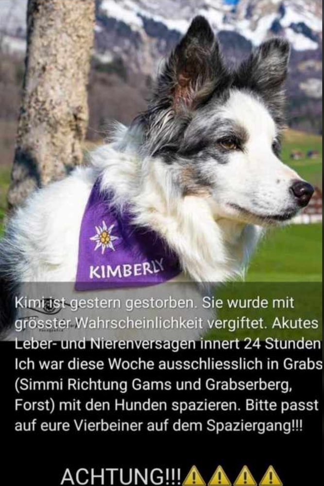 Giftköder-Vergiftung-Profilbild