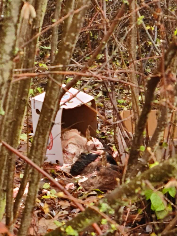 Giftköder-Schlachtabfälle oder Ähnliches-Profilbild