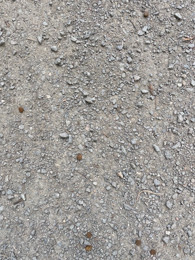 Giftköder-Trockenfutter auf Gehweg-Profilbild