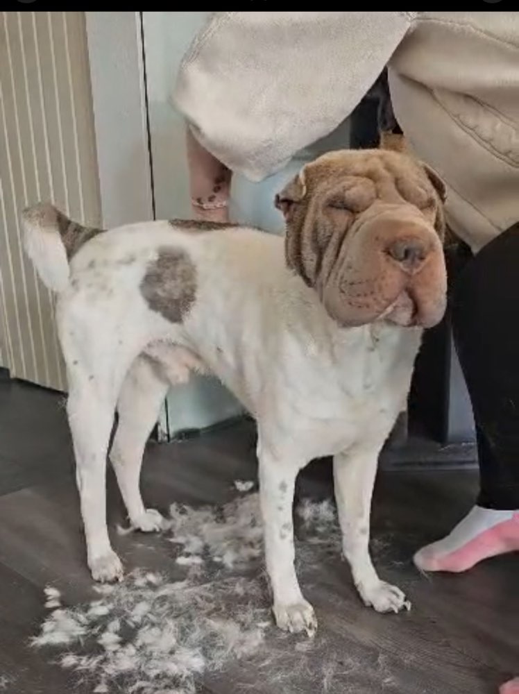 Suchmeldung-Kenji-Profilbild