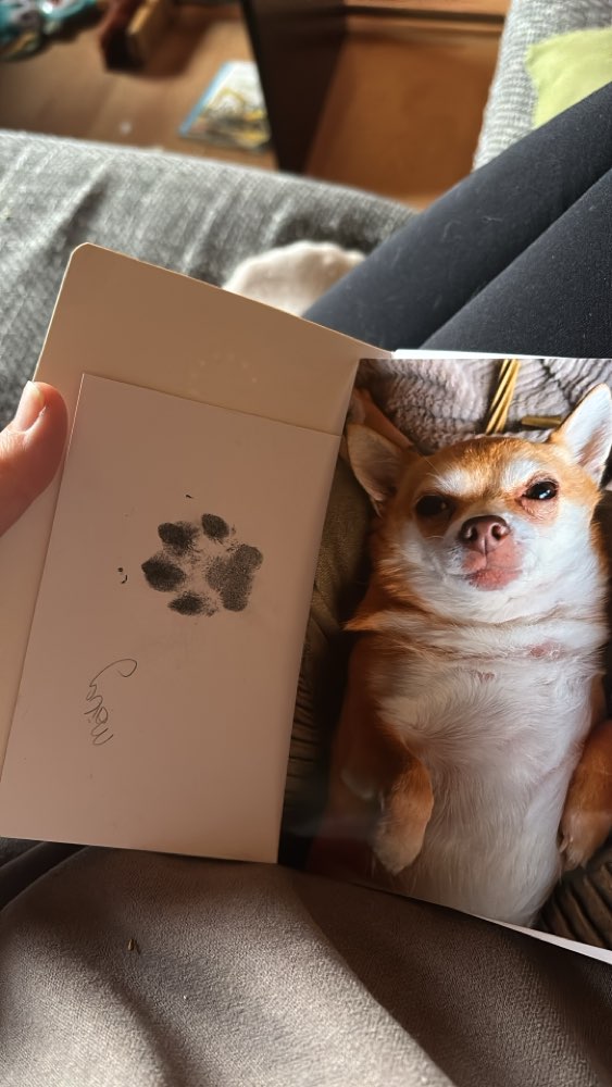 Suchmeldung-Maily-Profilbild