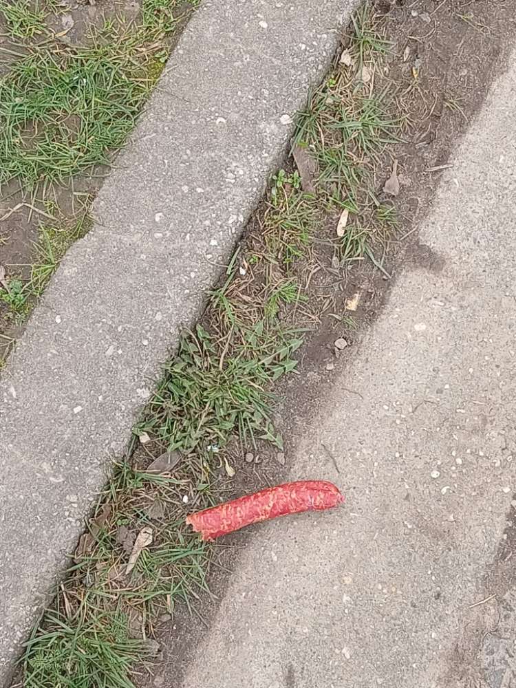 Giftköder-Ausgelegte Wurst-Profilbild