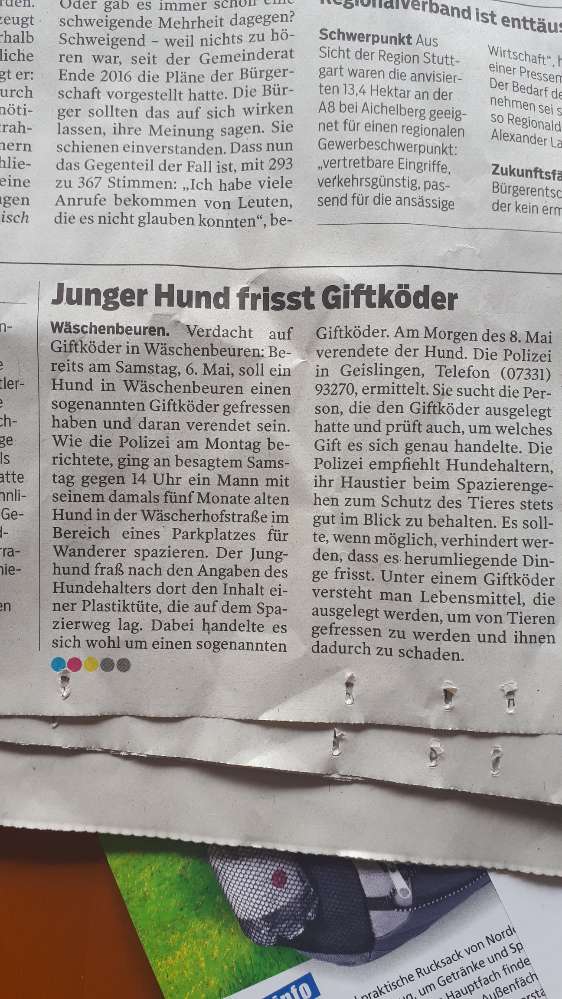 Giftköder-Giftköder-Profilbild