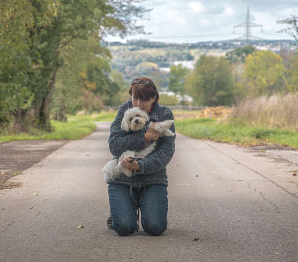 Hundetreffen-Kleinhunde Social Walk (bis ca. 6 kg)-Profilbild