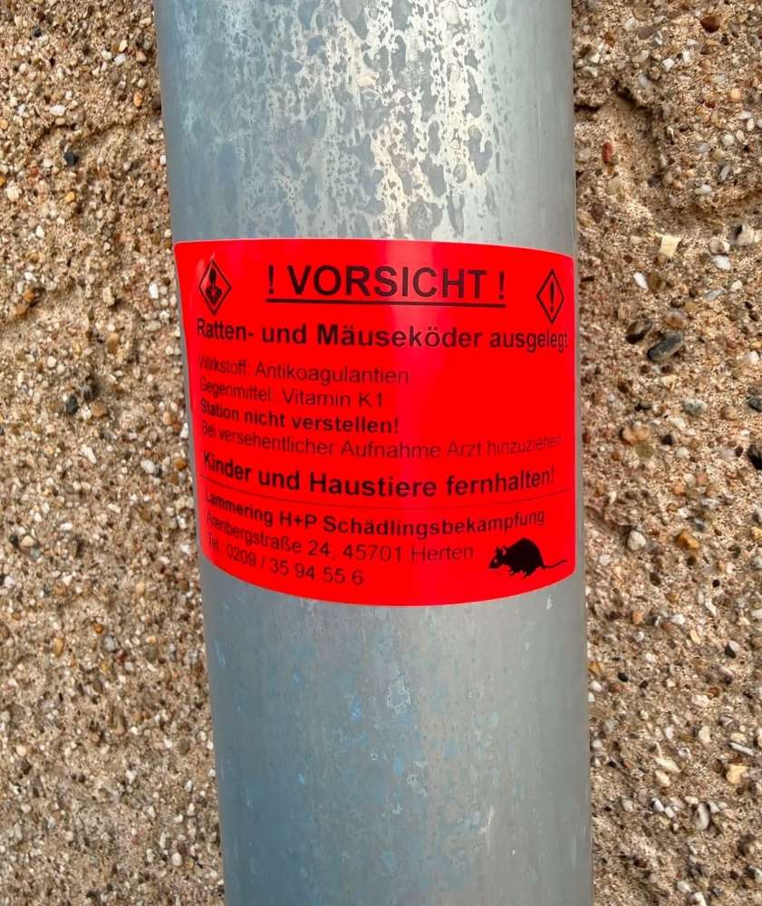 Giftköder-Rattengift zur Rattenbekämpfung-Profilbild