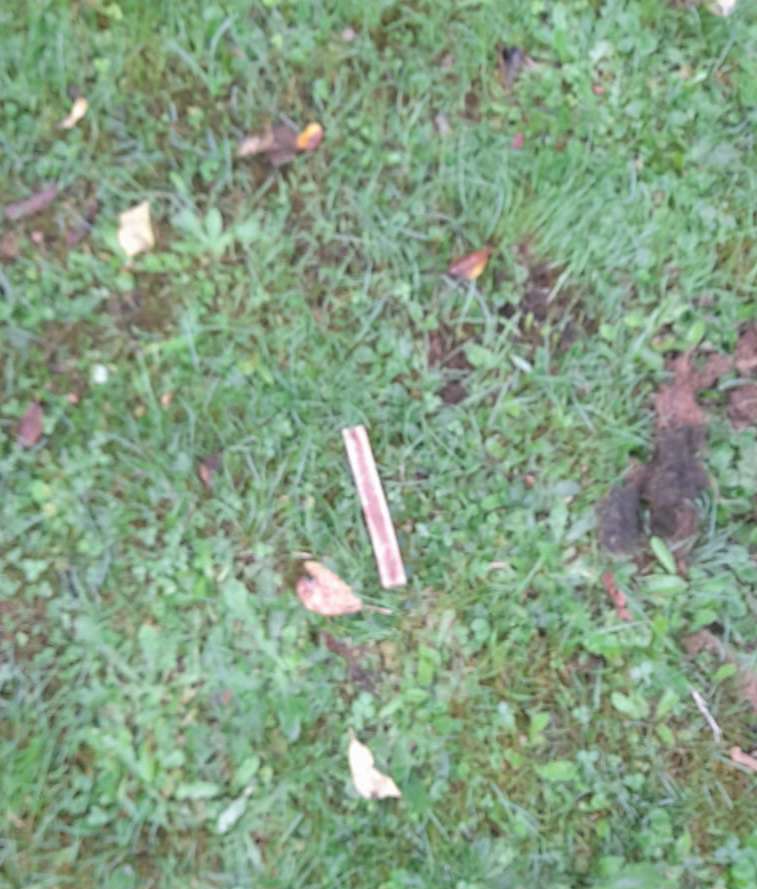 Giftköder-Giftköder-Profilbild