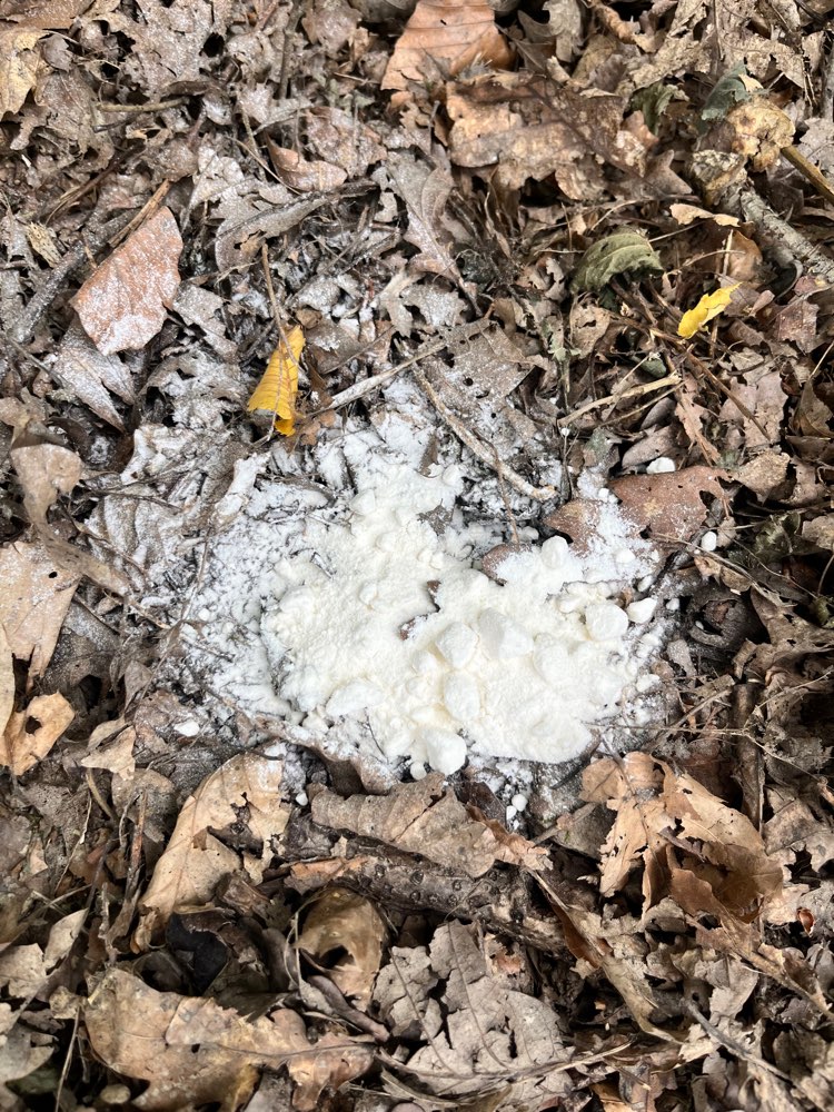 Giftköder-Im Eichwald weißes Pulver-Profilbild