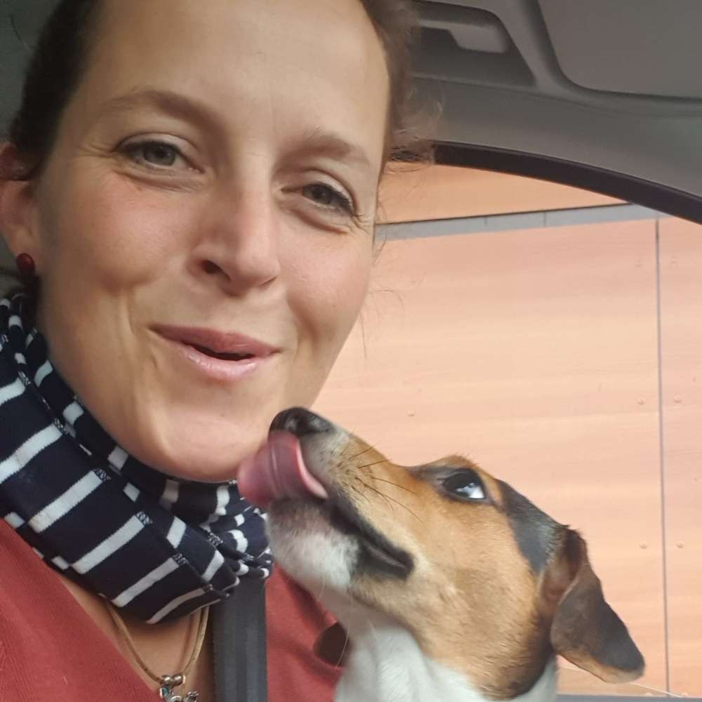 Hundetreffen-Hundetreff Seershausen-Profilbild
