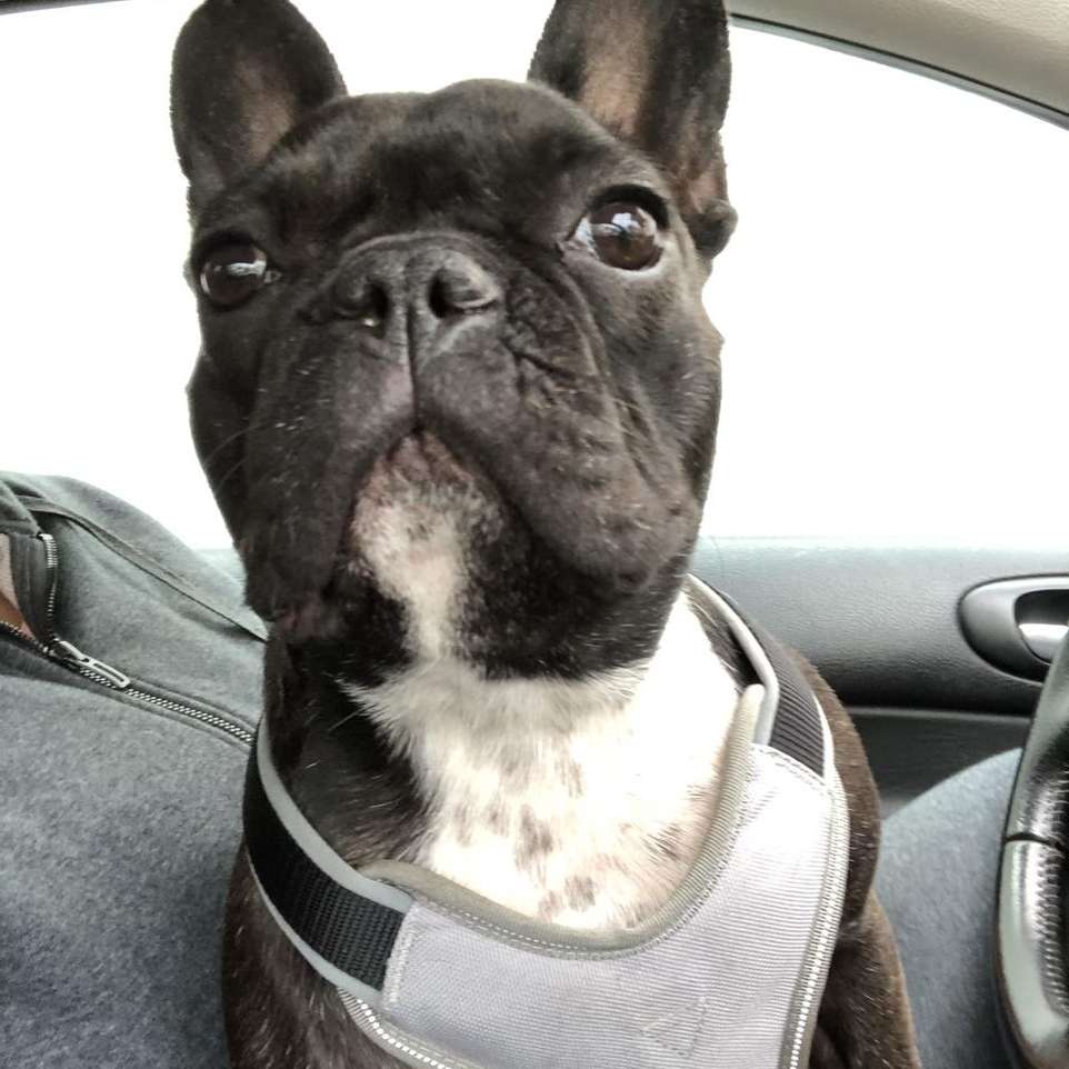 Suchmeldung-Stella-Profilbild