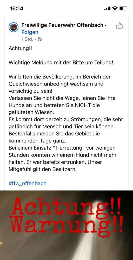 Giftköder-Offenbacher Queichwiesen. Strömungen!!-Profilbild