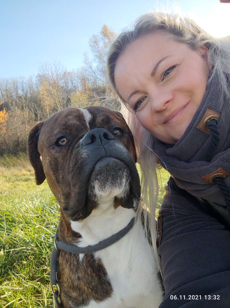 Hundetreffen-Odin sucht Spielkameraden-Profilbild