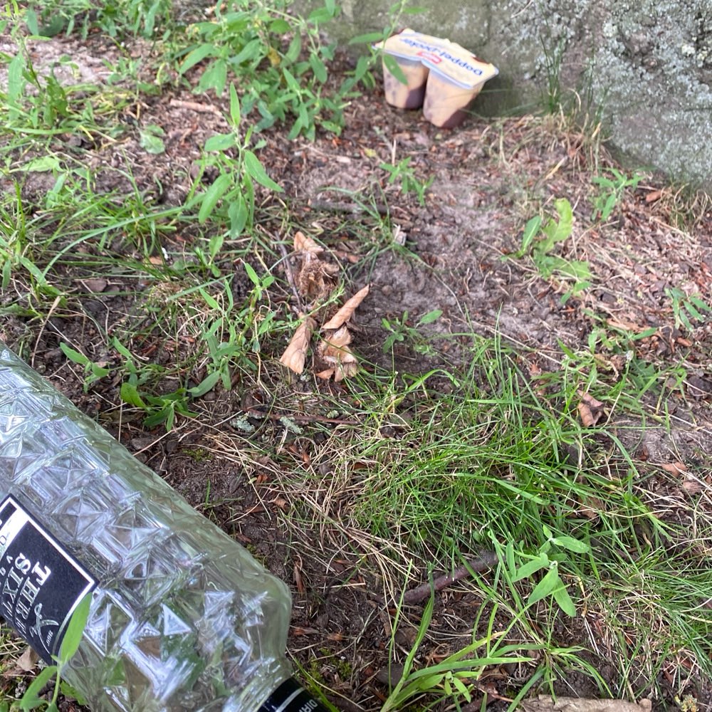 Giftköder-Müll/Giftköder im Rosengarten am Gr.Baum-Profilbild