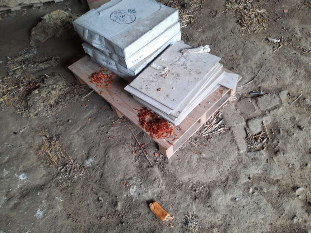 Giftköder-VERGAMMELTES Fleisch und Speckstreifen-Profilbild