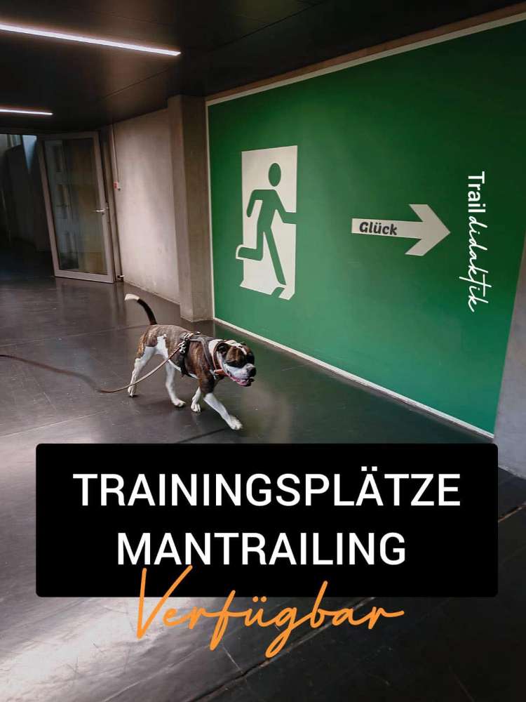 Hundetreffen-Mantrailing-Profilbild