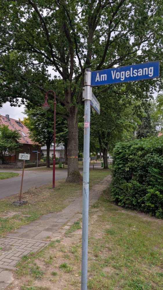 Giftköder-Eichenprozessionsspinner-Profilbild