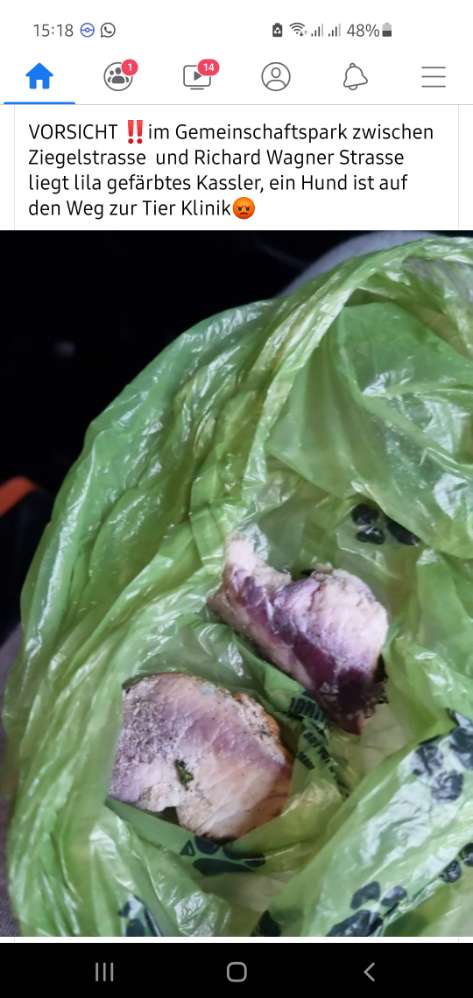 Giftköder-Lila gefärbtes Kassler-Profilbild