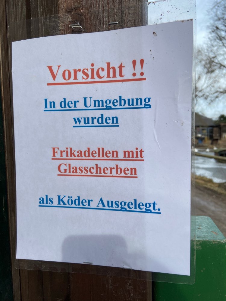 Giftköder-Frikadellen mit Glasscheiben-Profilbild