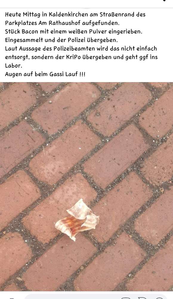 Giftköder-Evtl Giftköder-Profilbild
