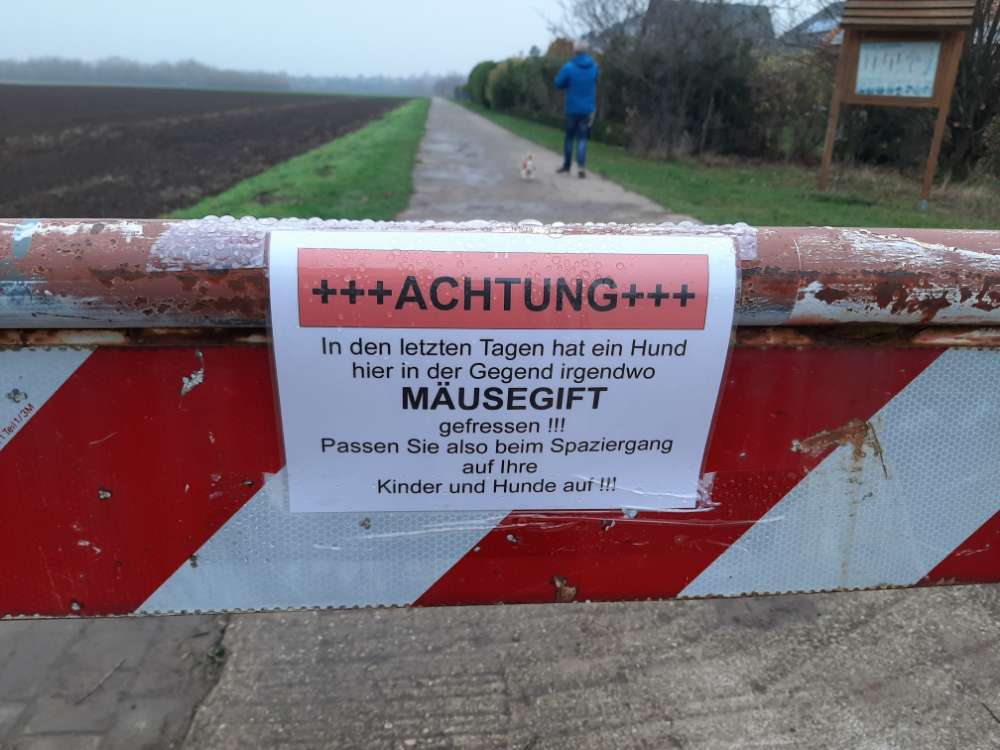 Giftköder-Mäusegift!-Profilbild